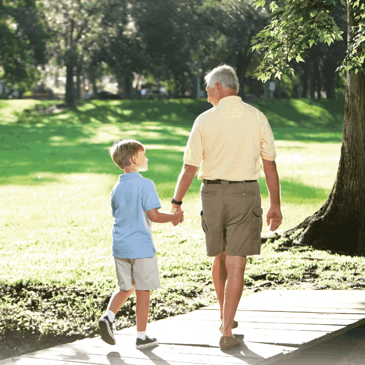 imagecompress12 2 imagecompress12 2